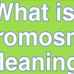 What is Promosm? Promosm Meaning In Hindi