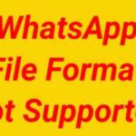 Fixed The File Format Is Not Supported Whatsapp Android Problem