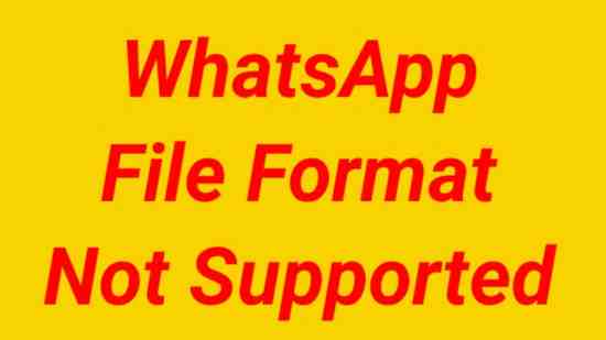 Fixed The File Format Is Not Supported Whatsapp Android Problem